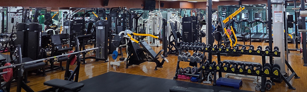 휘트니스
